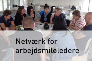 Netværk for arbejdsmiljøledere